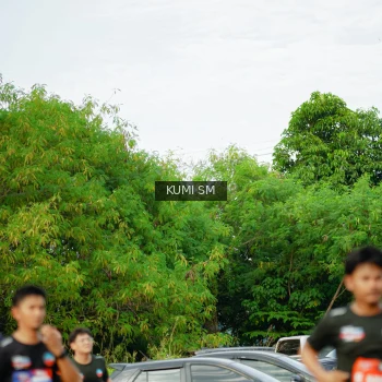 Runner Photo 3886698