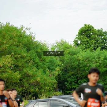 Runner Photo 3886702