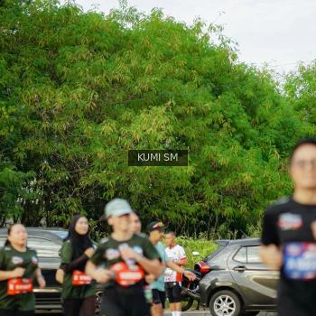 Runner Photo 3886797