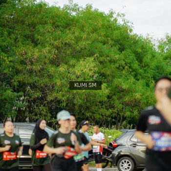 Runner Photo 3886804