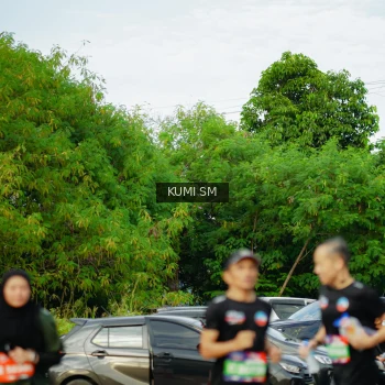 Runner Photo 3887187