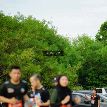 Runner Photo 3887198