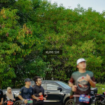 Runner Photo 3887214