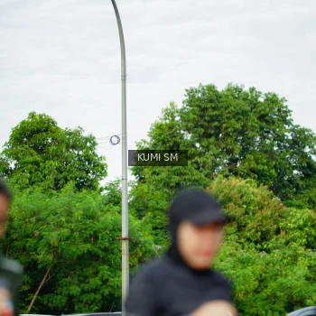 Runner Photo 3887389