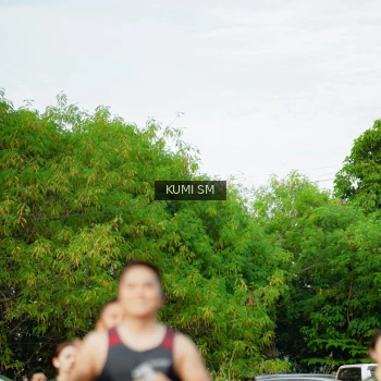 Runner Photo 3887526