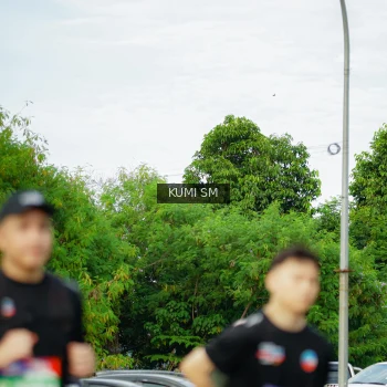 Runner Photo 3887578