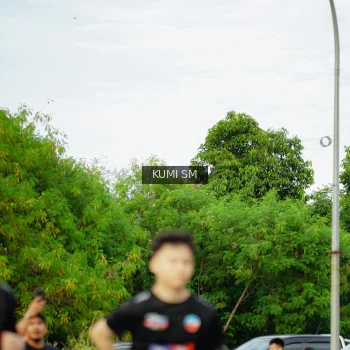 Runner Photo 3887580