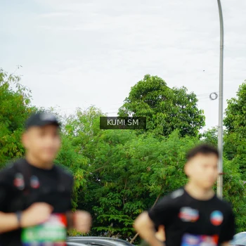 Runner Photo 3887582