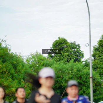 Runner Photo 3887583