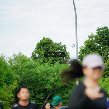 Runner Photo 3887585