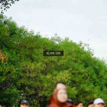 Runner Photo 3887619