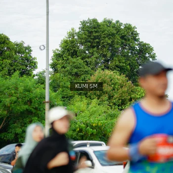 Runner Photo 3887651