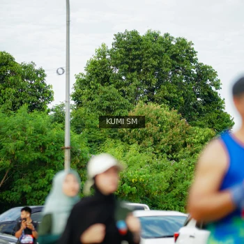 Runner Photo 3887652