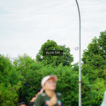 Runner Photo 3887656
