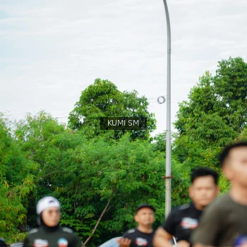 Runner Photo 3887666