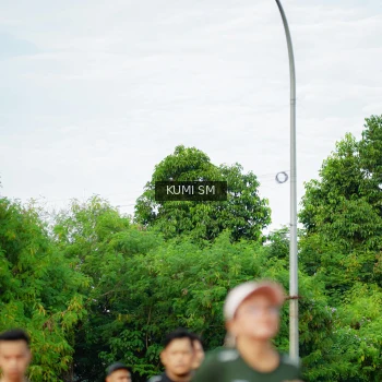 Runner Photo 3887668