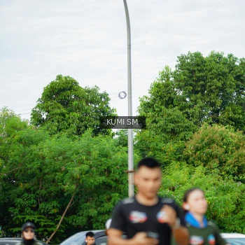 Runner Photo 3887719