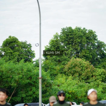 Runner Photo 3887741