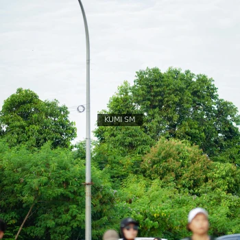 Runner Photo 3887742