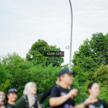 Runner Photo 3888079