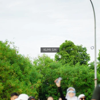 Runner Photo 3888187
