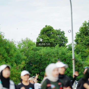 Runner Photo 3888209