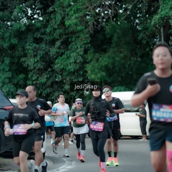 Runner Photo 3903030