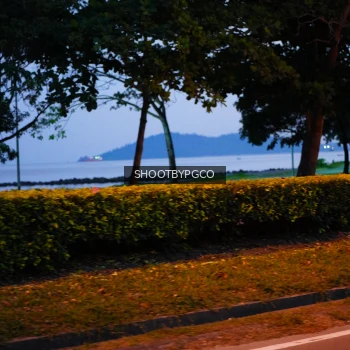 Runner Photo 3903879