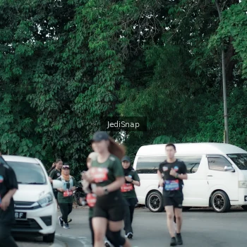 Runner Photo 3904113