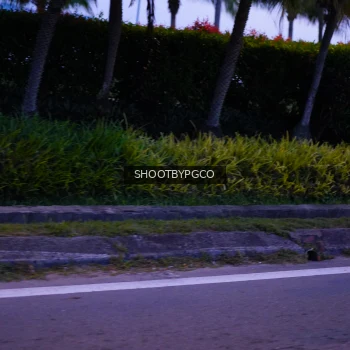 Runner Photo 3904161