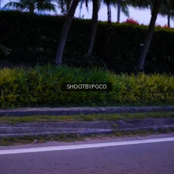 Runner Photo 3904173
