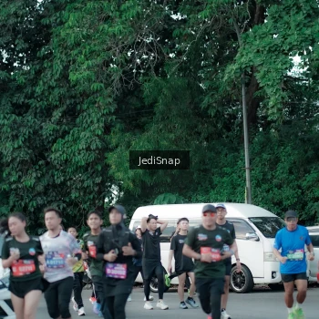 Runner Photo 3905080