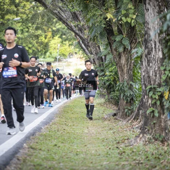 Runner Photo 3907622