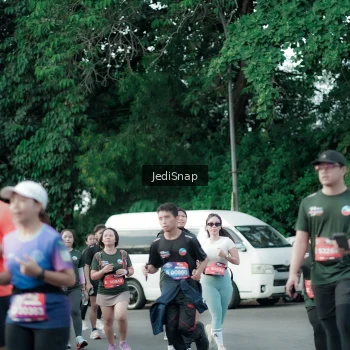 Runner Photo 3911024
