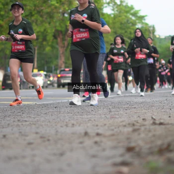 Runner Photo 3912933