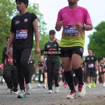 Runner Photo 3914874