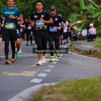 Runner Photo 3918284
