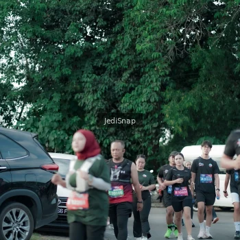 Runner Photo 3918851