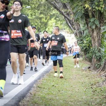 Runner Photo 3922205