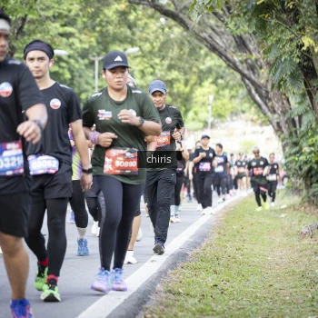 Runner Photo 3922597