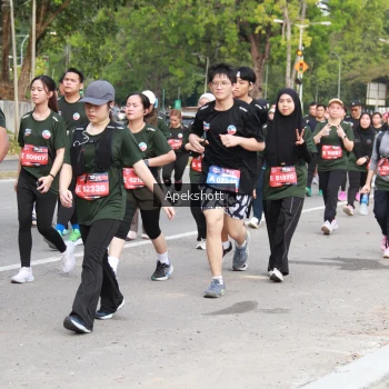 Runner Photo 3924580