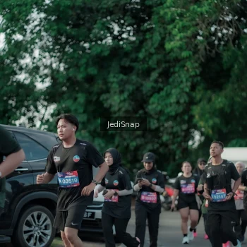 Runner Photo 3925920