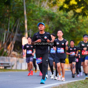 Runner Photo 3931372