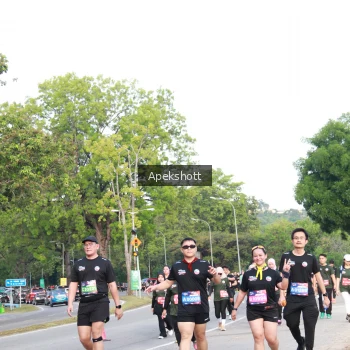 Runner Photo 3932788