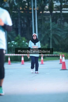Runner Photo 3937741