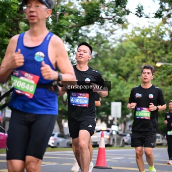 Runner Photo 3939260