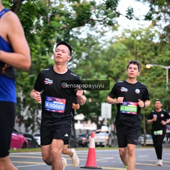 Runner Photo 3939268