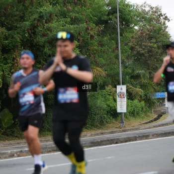 Runner Photo 3940064