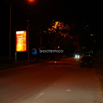 Runner Photo 3941675