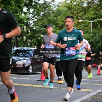 Runner Photo 3944507